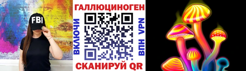 Галлюциногенные грибы Cubensis магазин наркотиков маркетплейс официальный сайт Новомичуринск мега как войти